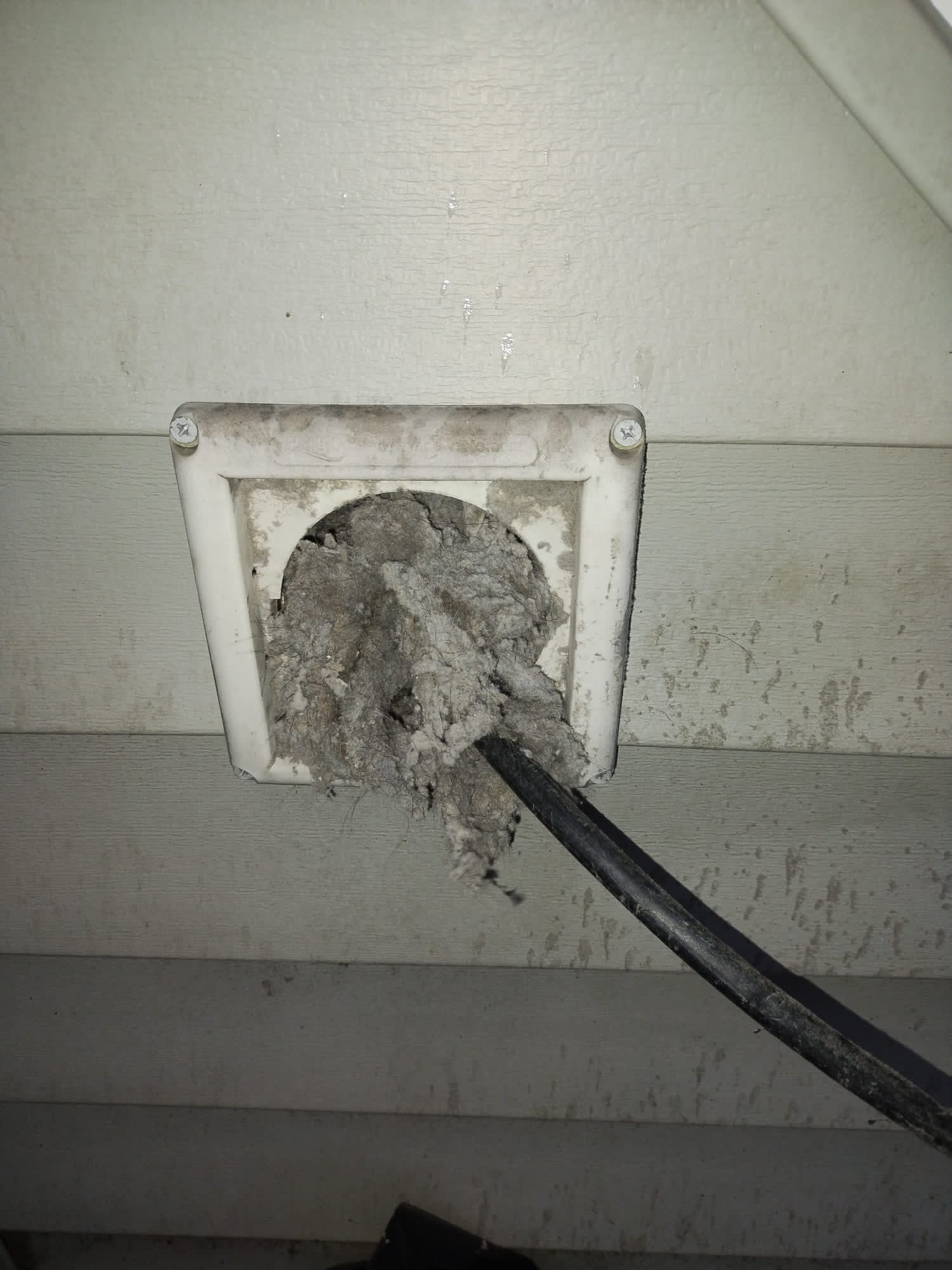 WhatsApp Image 2024-01-28 at 5.15.49 PM