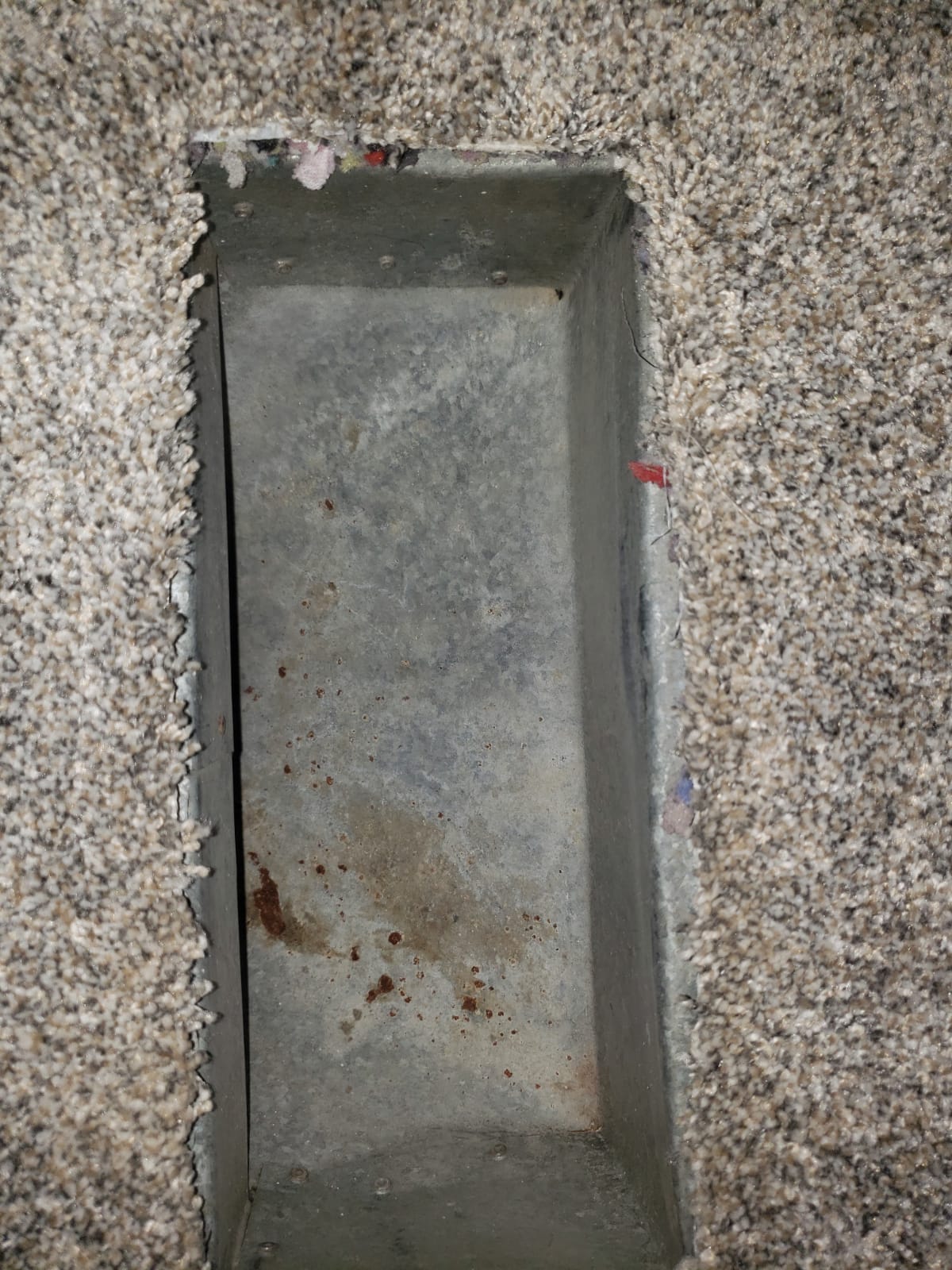 WhatsApp Image 2024-01-28 at 5.16.09 PM (10)