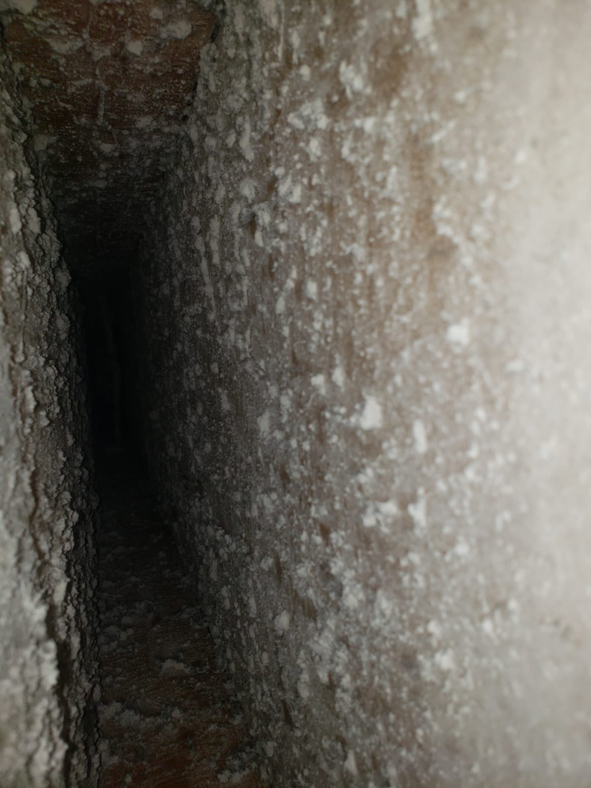 WhatsApp Image 2024-01-28 at 5.16.09 PM (8)