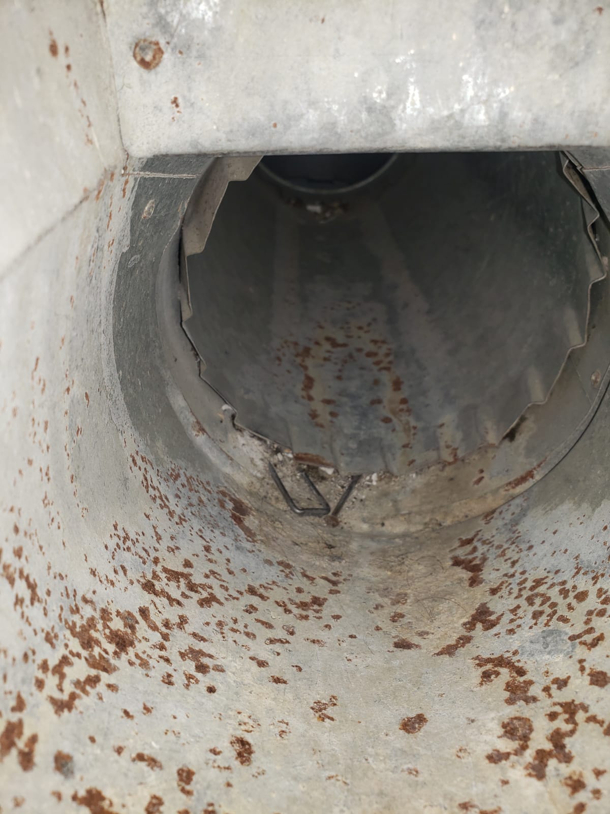 WhatsApp Image 2024-01-28 at 5.16.09 PM (9)