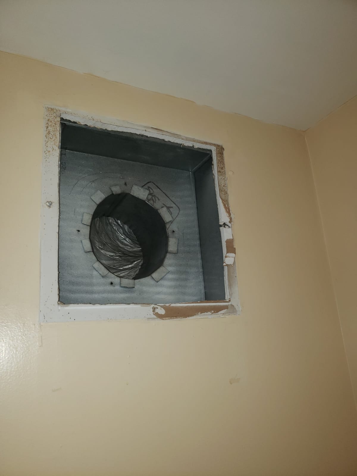 WhatsApp Image 2024-01-28 at 5.16.10 PM (2)