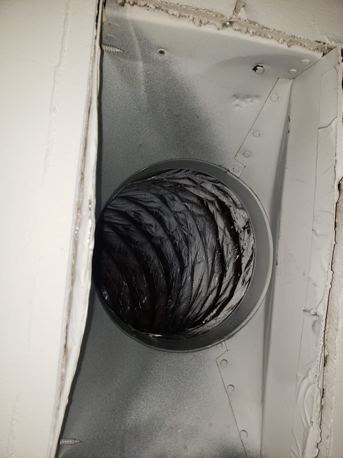 WhatsApp Image 2024-01-28 at 5.16.10 PM (7)