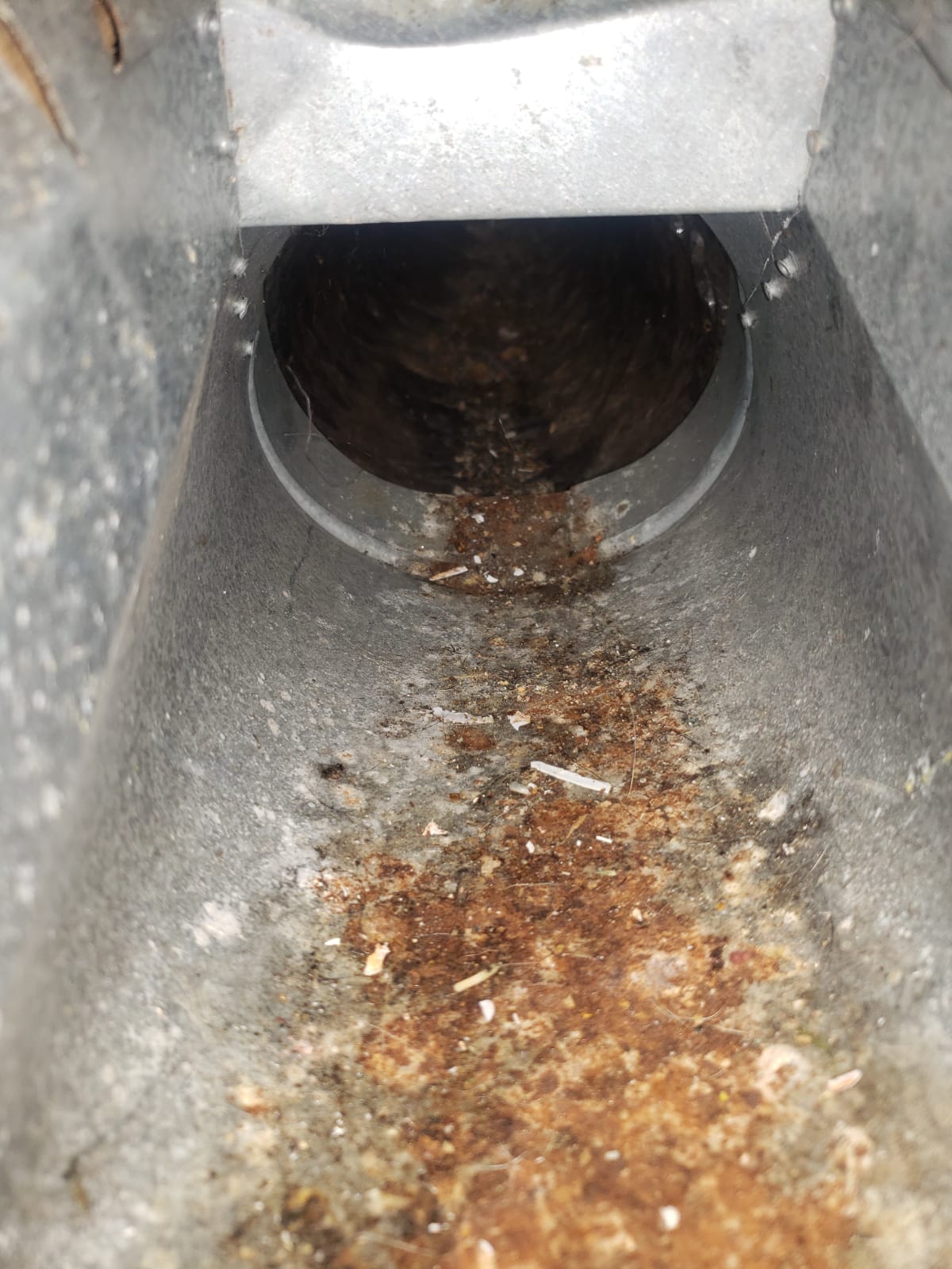 WhatsApp Image 2024-01-28 at 5.16.10 PM (8)