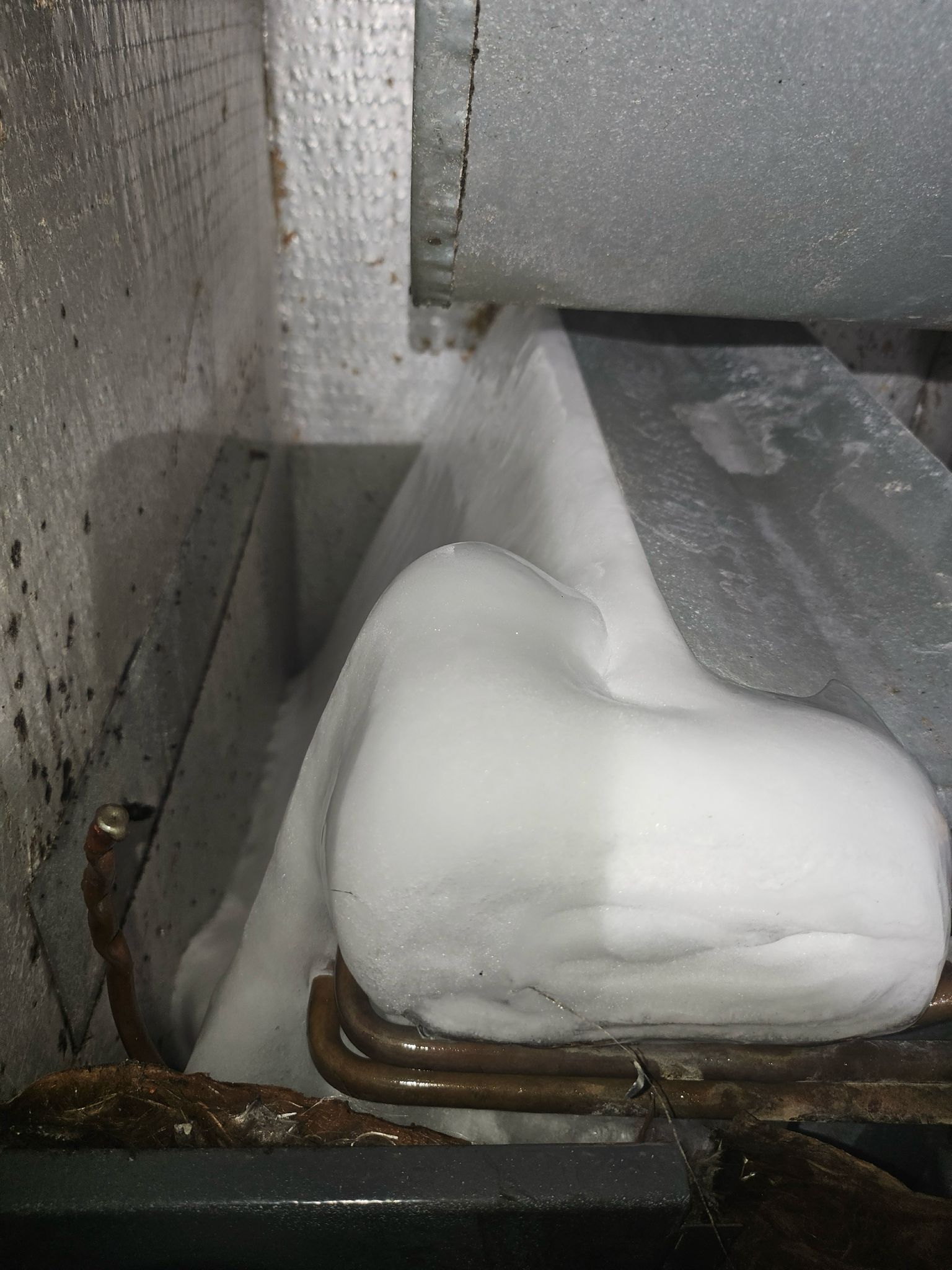 WhatsApp Image 2025-07-01 at 6.32.09 PM (3)